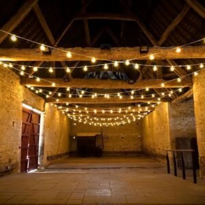 Fairy light/festoon